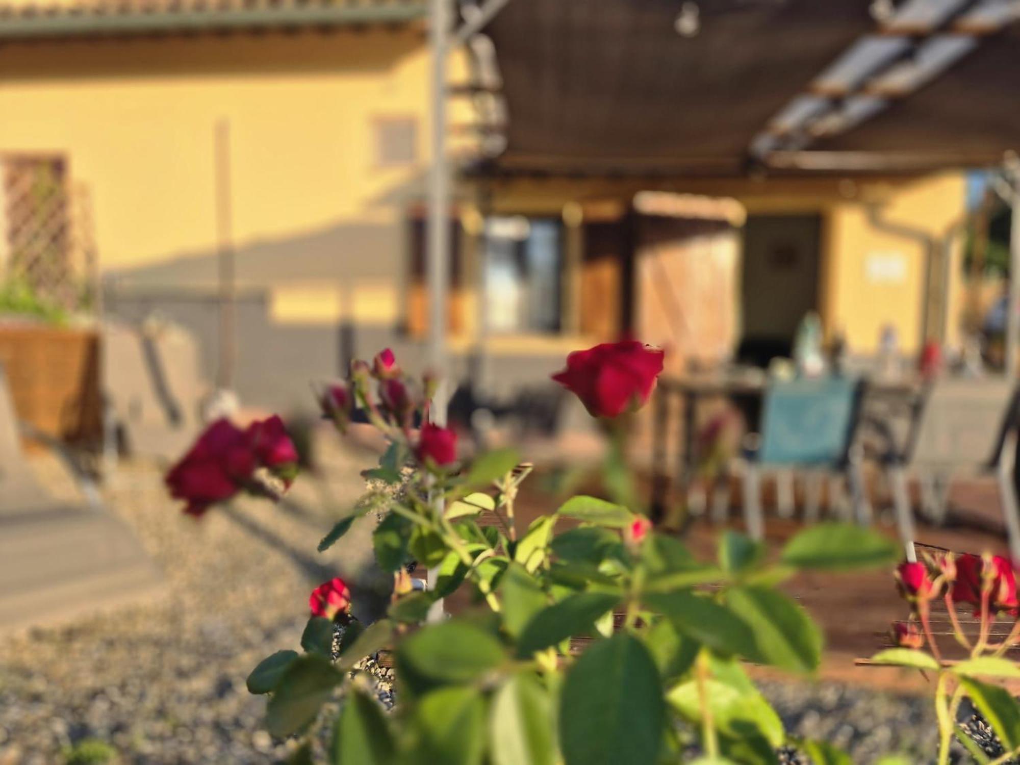 Casa Orneto Villa ปอจจิบองซี ภายนอก รูปภาพ